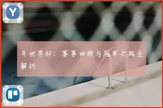 年世界杯：赛事回顾与冠军之路全解析
