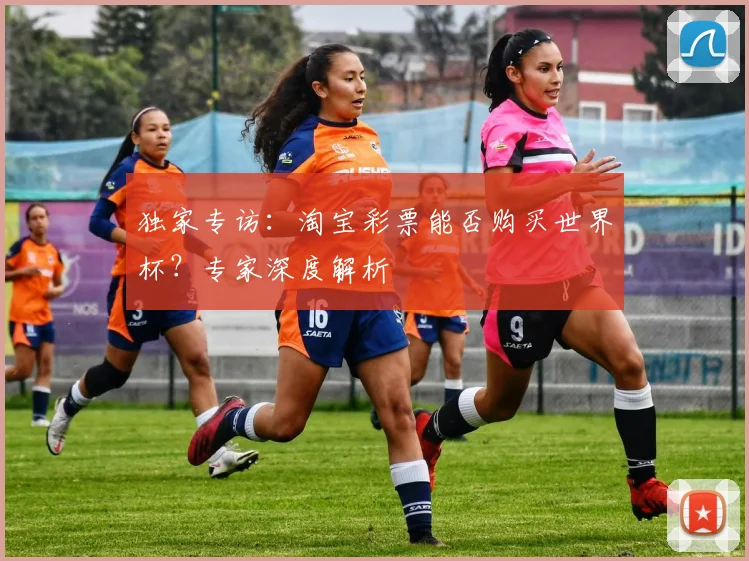 独家专访：淘宝彩票能否购买世界杯？专家深度解析