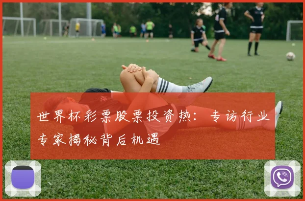 世界杯彩票股票投资热：专访行业专家揭秘背后机遇