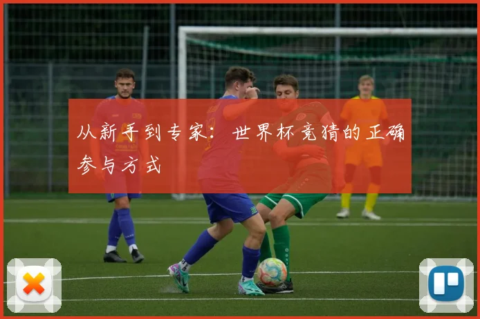 从新手到专家：世界杯竞猜的正确参与方式