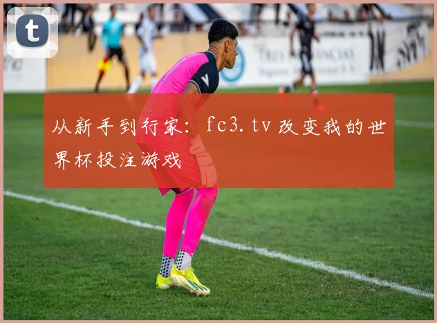 从新手到行家：fc3.tv 改变我的世界杯投注游戏