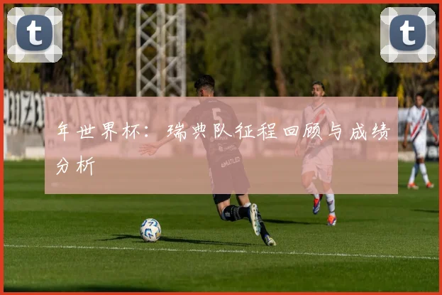 年世界杯：瑞典队征程回顾与成绩分析