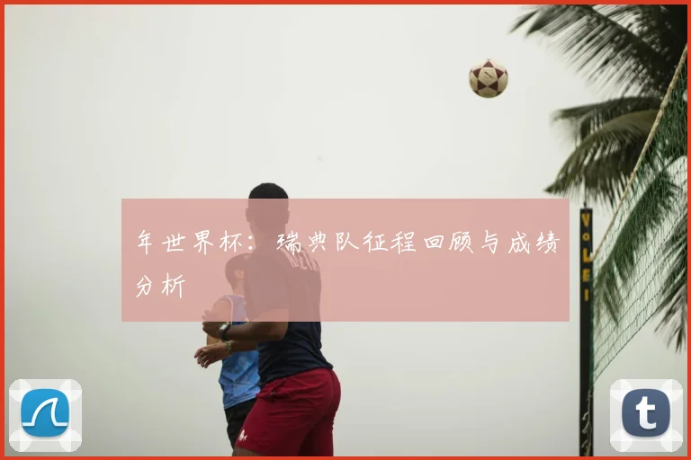 年世界杯：瑞典队征程回顾与成绩分析