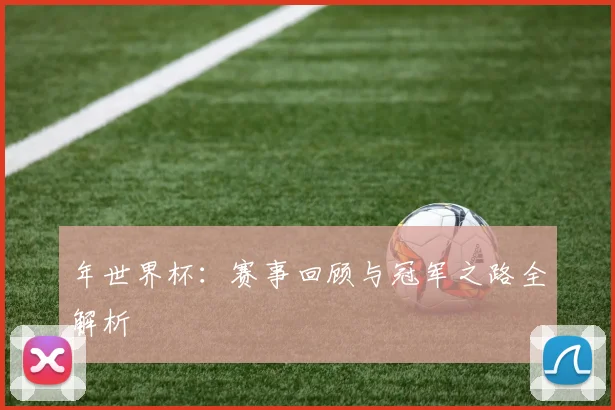 年世界杯：赛事回顾与冠军之路全解析