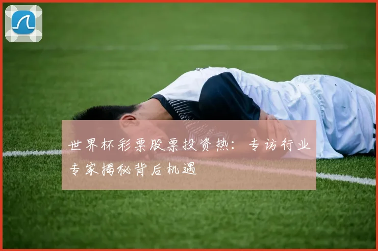 世界杯彩票股票投资热：专访行业专家揭秘背后机遇